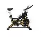 Bicicleta Spinning Roda De Inercia De 13kg  E 