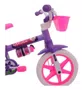 Bicicleta Cairu Violeta Aro 12