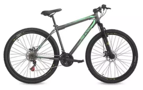 Bicicleta Free Action Flexus 2.0 21 Marchas Aro 29 Suspensão Dianteira Freio a Disco Mecânico