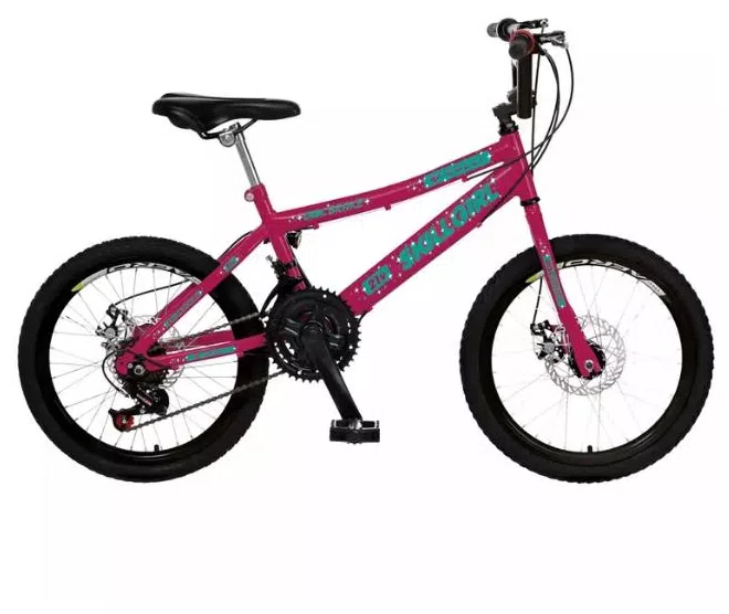 Bicicleta Colli Bikes Lazer Skill Girl 21 Marchas Aro 20 Freio a Disco Mecânico