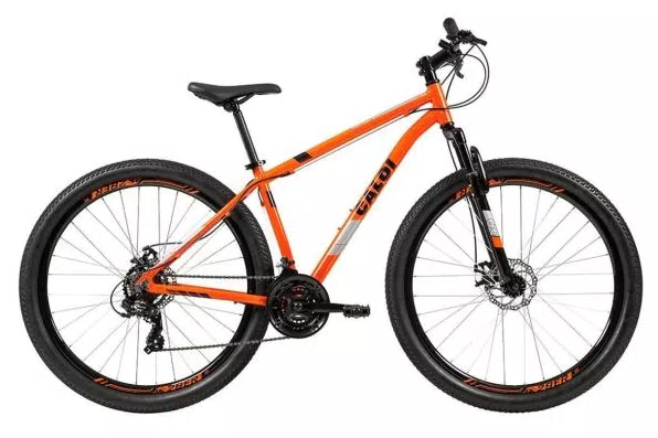 Bicicleta Mountain Bike Caloi Two Niner Alloy 21 Marchas Aro 29 Suspensão Dianteira Freio a Disco Mecânico