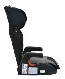 Cadeira para Auto Protege Mesclado  15 a 36KG Burigotto