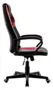 Cadeira Gamer PEL-3017 Pelegrin