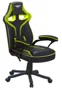 Cadeira Gamer Reclinável Raptor CH04GE ELG