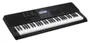 Teclado Digital Casio CT-X800 61 Teclas 