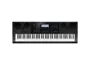 Teclado Musical Casio Wk7600 76 Teclas Profissional Com Fonte