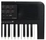 Teclado Musical Arranjador 61 Teclas 5/8 Yamaha PSR-E273 Fonte Bivolt