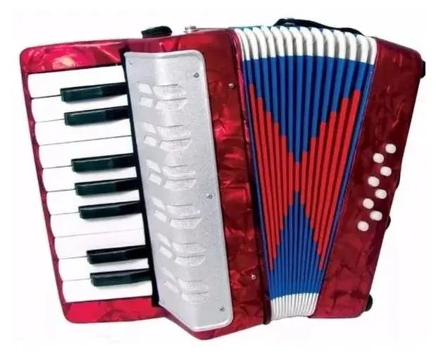 Acordeon Sanfona Gaita Infantil 8 Baixos Brinquedo Crianças