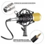 Kit Microfone Condensador Braço Articulado Pop Filter P2 T10