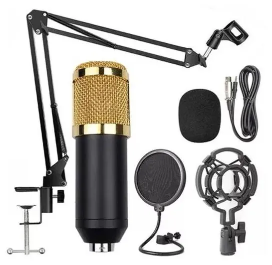 Microfone Condensador Com Braço Articulado Pop Filter P2 T10