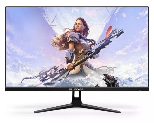 Monitor Gamer LED 24,5 " BlueCase Full HD BM251GW