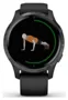 Smartwatch Garmin Venu GPS