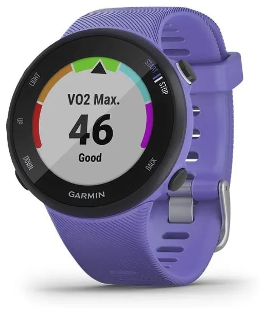 Smartwatch Garmin Forerunner 45S GPS