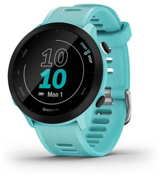 Smartwatch Garmin Forerunner 55 GPS